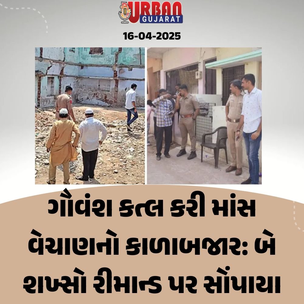 ગૌવંશ કત્લ કરી માંસ વેચાણનો કાળાબજાર: બે શખ્સો રીમાન્ડ પર સોંપાયા