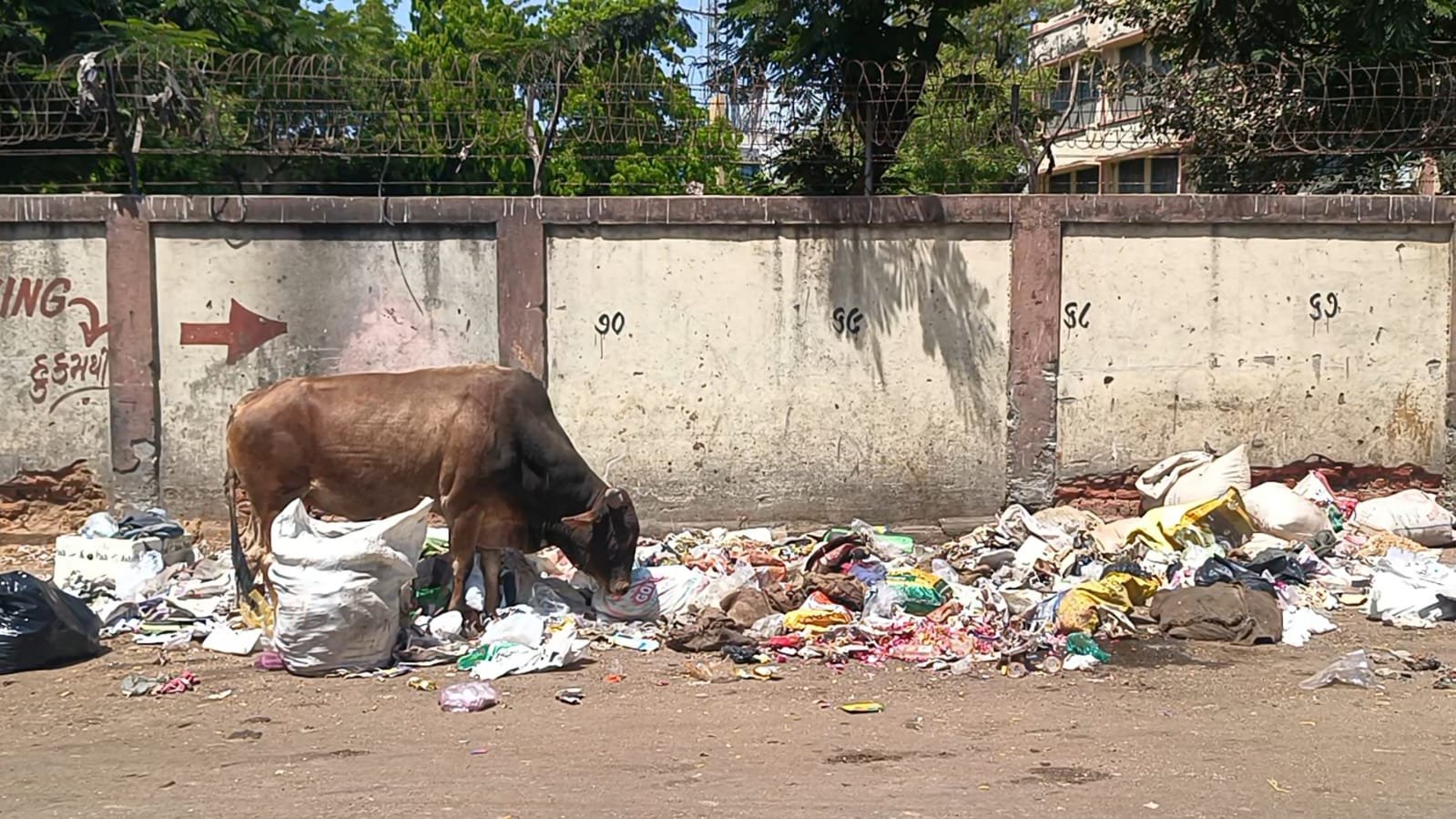 આણંદ જૂના બસ સ્ટેન્ડ પાછળના ભાગે આવેલા રોડ પર કચરાના ઢગ જોવા મળ્યા