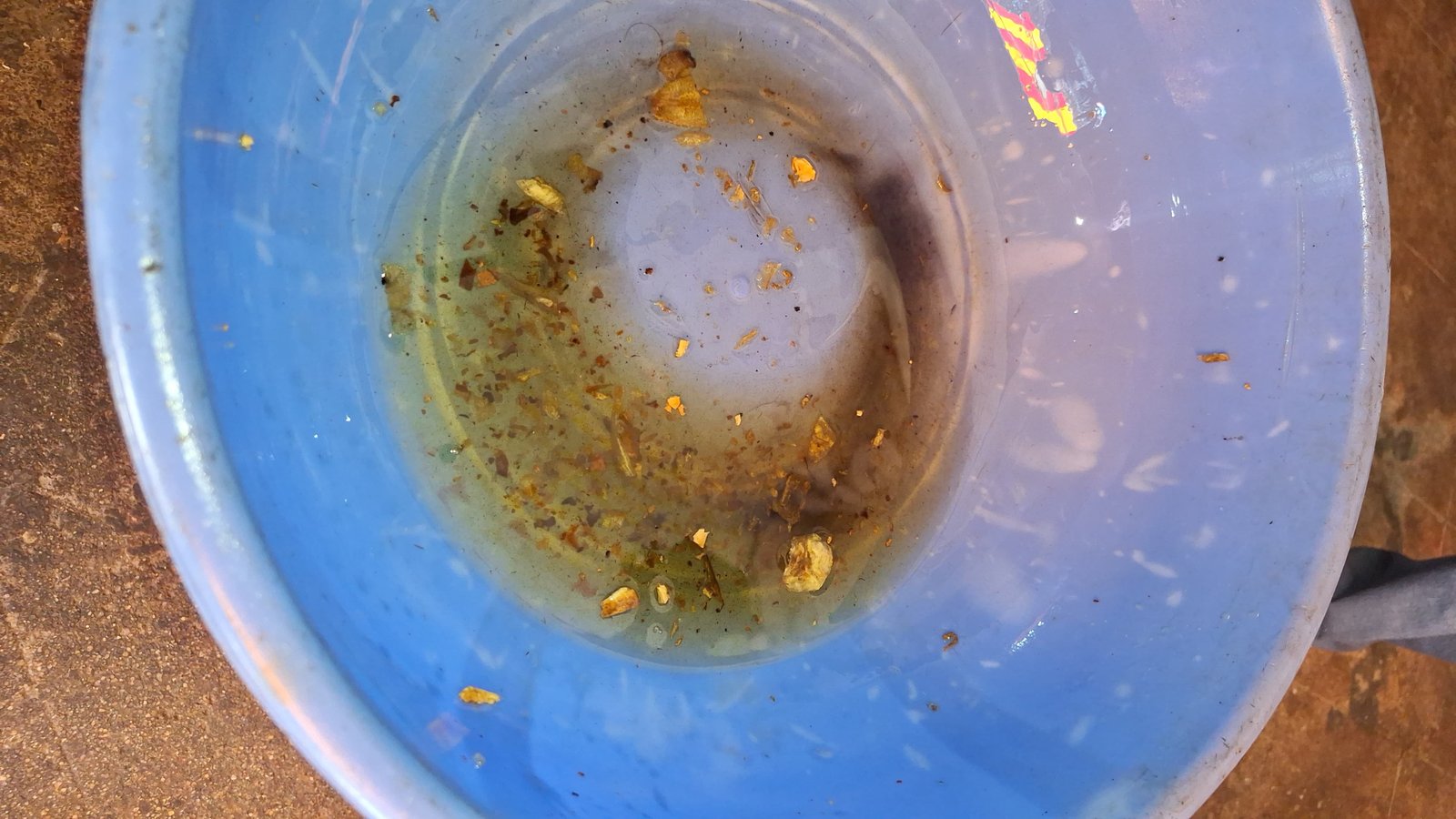 મહાનગરપાલિકા દ્વારા આણંદના આઝાદ મેદાન પાસેની ખુશ્બૂ લાઈવ વેફર્સ અને જય જલારામ લાઈવ વેફર્સ સીલ કરાઈ