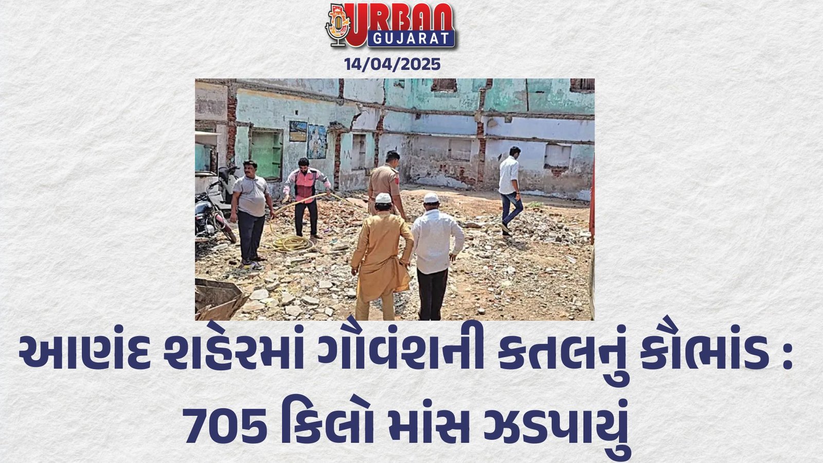 આણંદ શહેરમાં ગૌવંશની કતલનું કૌભાંડ : 705 કિલો માંસ ઝડપાયું