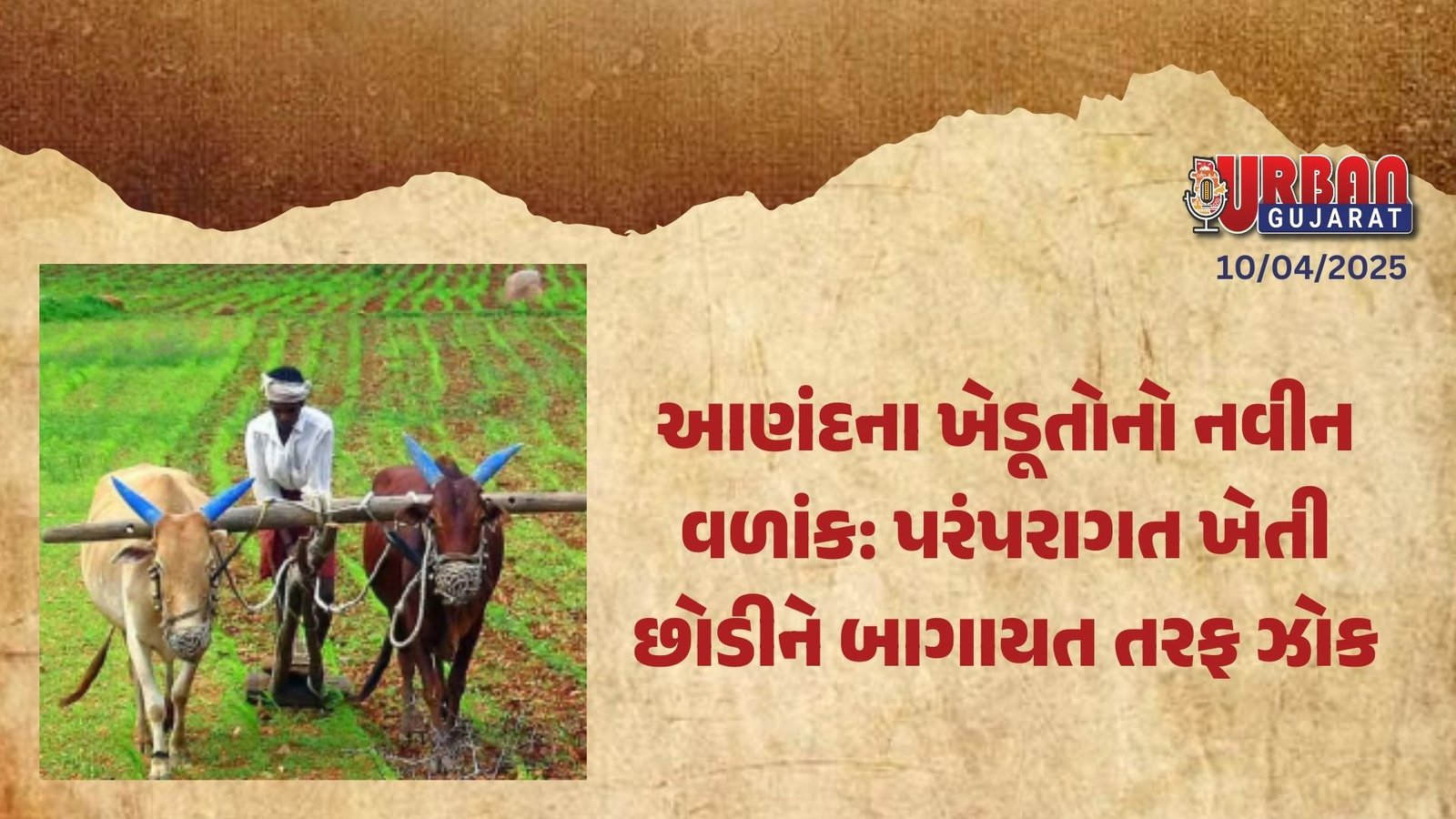 આણંદના ખેડૂતોનો નવીન વળાંક: પરંપરાગત ખેતી છોડીને બાગાયત તરફ ઝોક