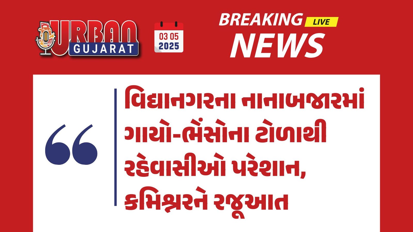 વિદ્યાનગરના નાનાબજારમાં ગાયો-ભેંસોના ટોળાથી રહેવાસીઓ પરેશાન, કમિશ્નરને રજૂઆત