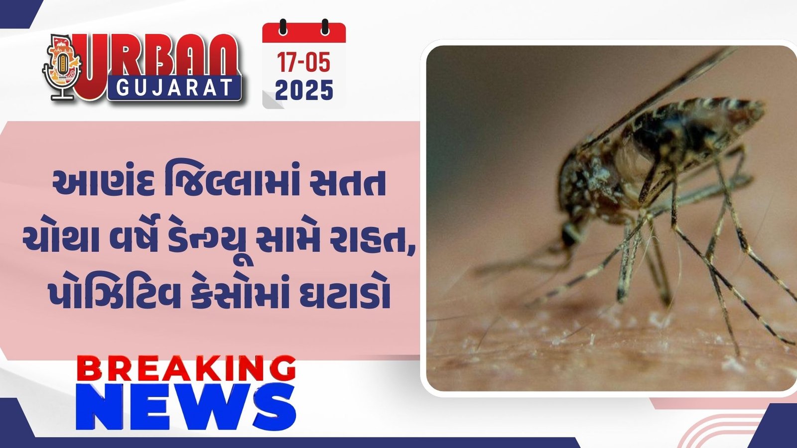 આણંદ જિલ્લામાં સતત ચોથા વર્ષે ડેન્ગ્યૂ સામે રાહત, પોઝિટિવ કેસોમાં ઘટાડો