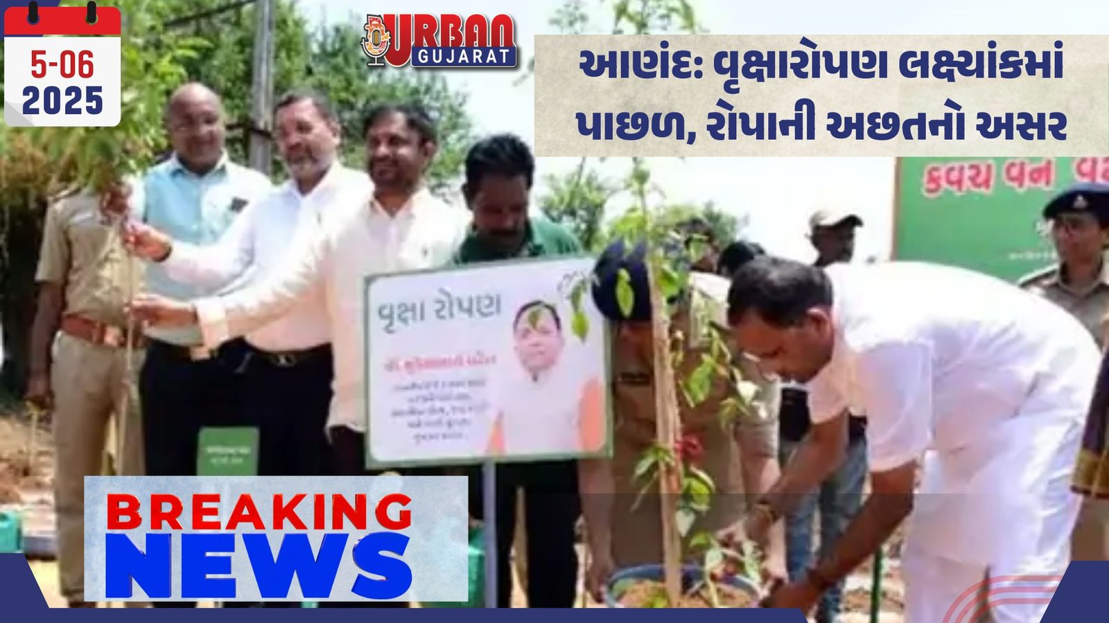 આણંદ: વૃક્ષારોપણ લક્ષ્યાંકમાં પાછળ, રોપાની અછતનો અસર