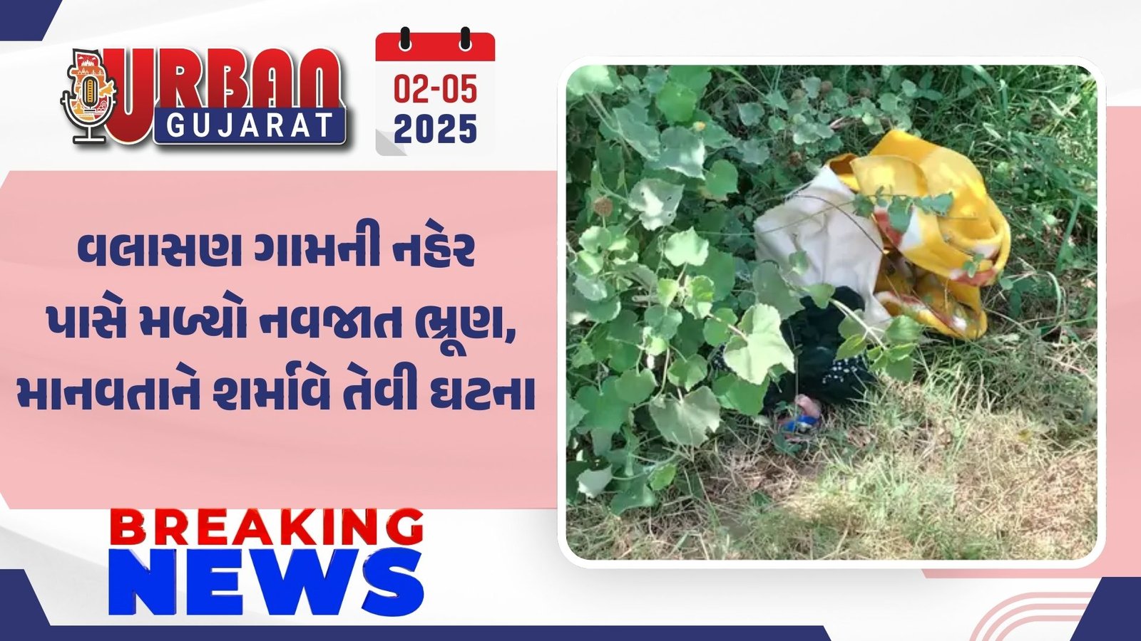 વલાસણ ગામની નહેર પાસે મળ્યો નવજાત ભ્રૂણ, માનવતાને શર્માવે તેવી ઘટના