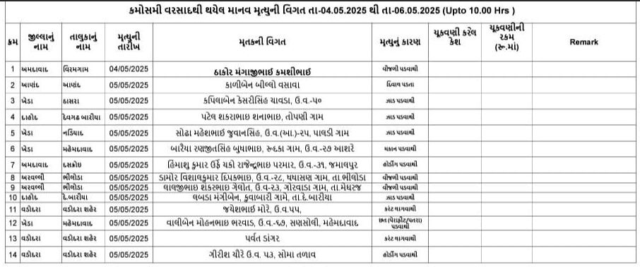 ભાઈ માટે શુભ રાખડી: શું પસંદ કરશો?