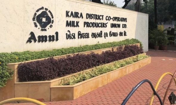 ઇતિહાસમાં પહેલી વાર અમુલ નિયામક મંડળની ચૂંટણીમાં ભાજપ દ્રારા મેન્ડેડ જાહેર કરનાર 13 ઉમેદવારમાંથી 11 ઉમેદવારની ભવ્ય જીત...